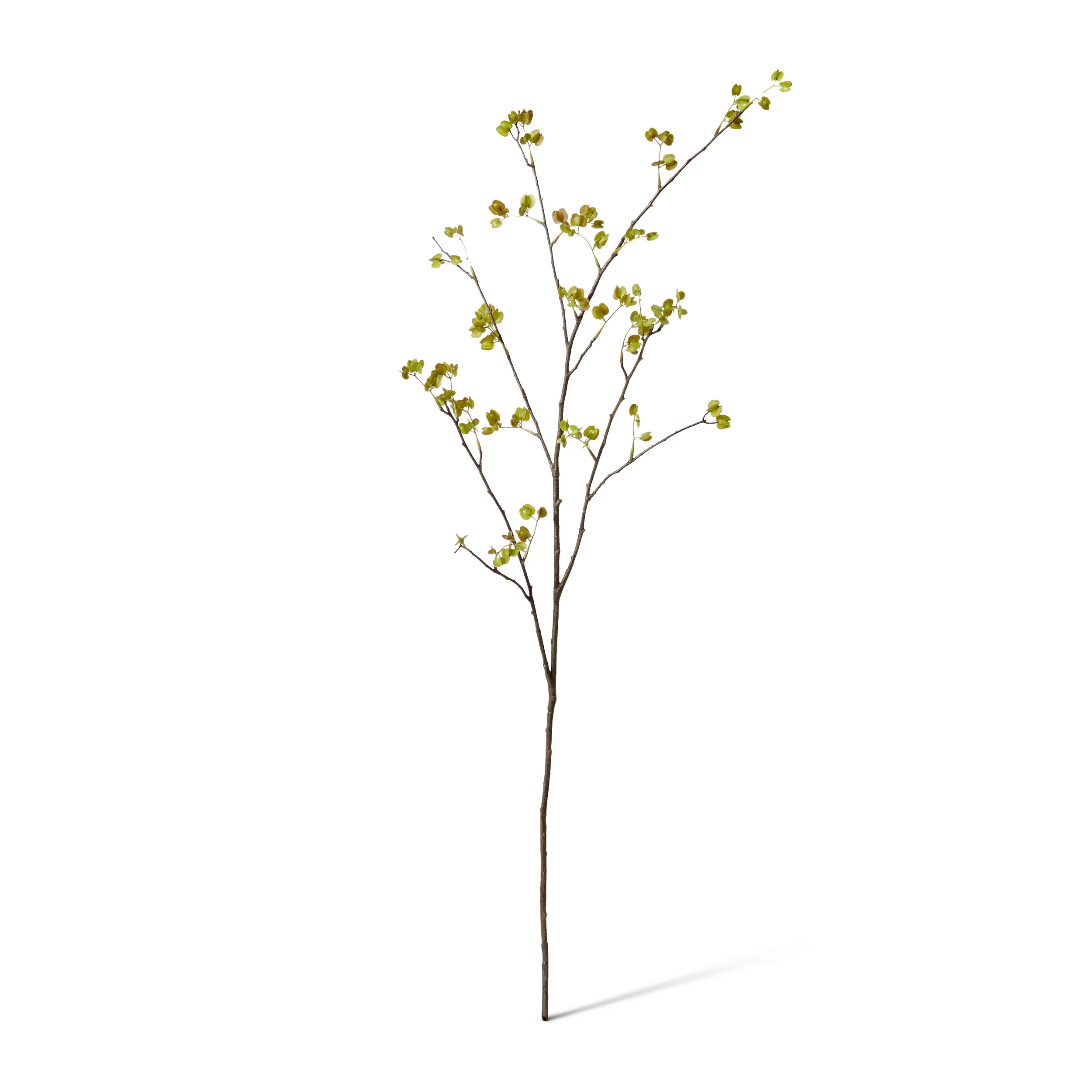 Elm Seeding Spray - Green - Image 2