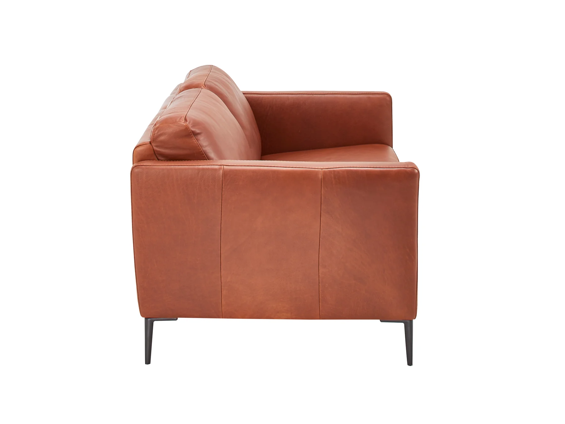 Oslo 2 Seater Leather Lounge - Cognac - Image 4