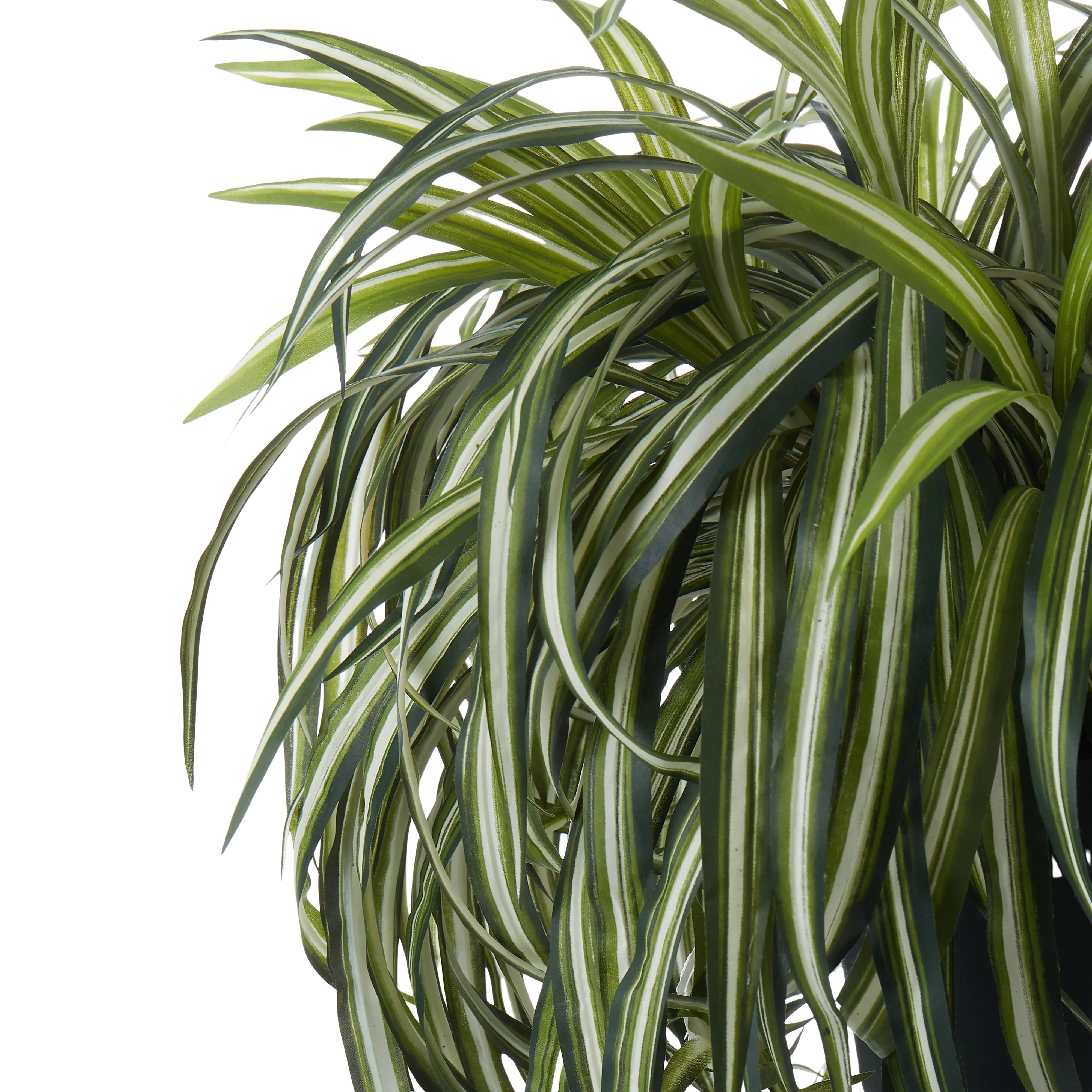 Spider Plant Garden Pot Green-Black - Image 2