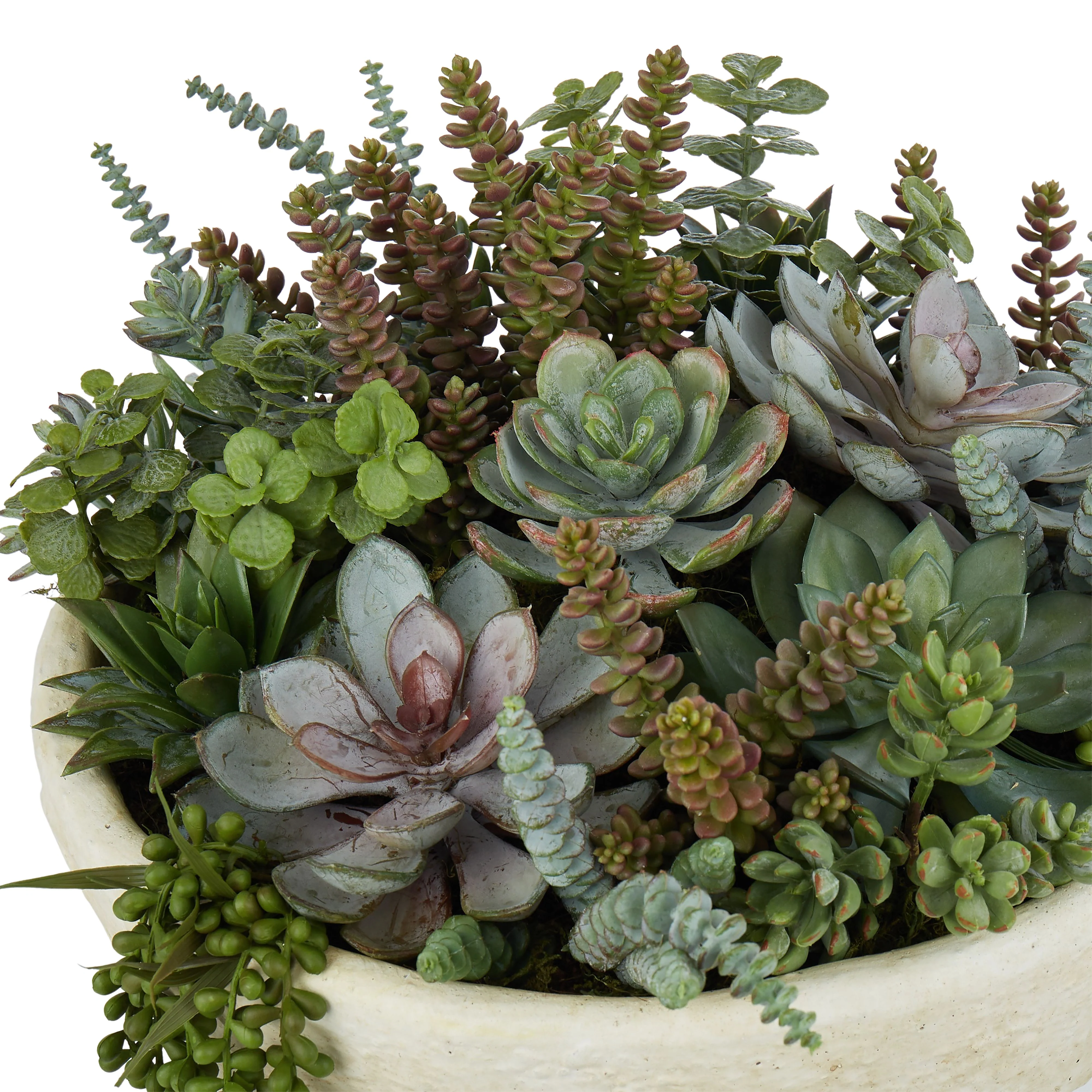 Succulent Garden - Textured Cement Pot Green-Cream - Image 2